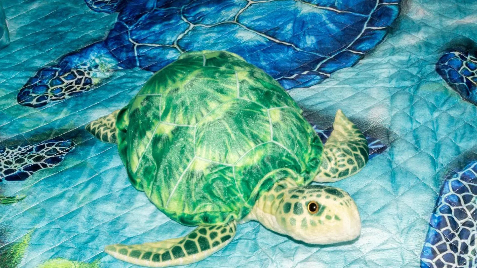 شقة Turtle Tales At Majestic بنما سيتي بيتش 0*,  الولايات المتحدة الأمريكية